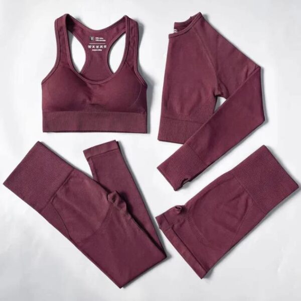 Conjunto Fitness Feminino - FlexiChic 4 em 1 - Image 2