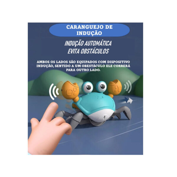 Caranguejo Fujão - Image 3