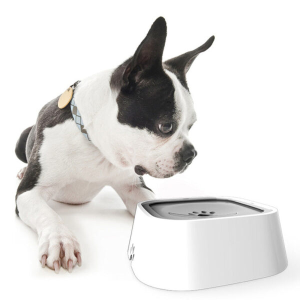 Bebedouro Inteligente Anti Respingo para Cães e Gatos - Image 5